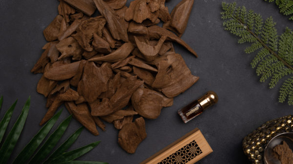 Top-Quality Agarwood