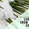 snow removal edmonton