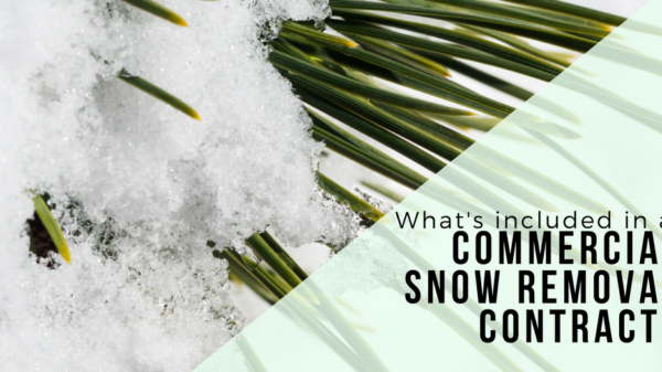 snow removal edmonton
